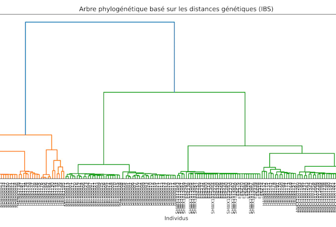 build phylogenetic trees and perform sequence analysis